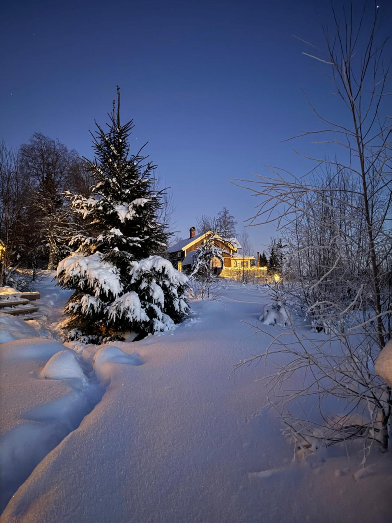 Cozy Forest Cabin With Amazing Mountain View Torsby Exterior foto